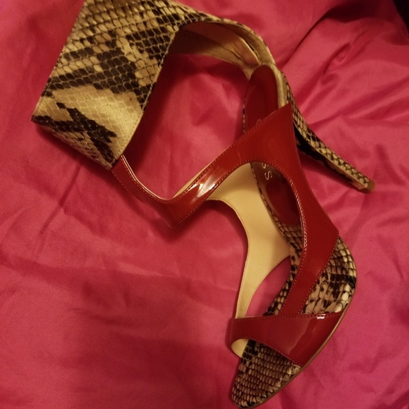 Red python - Picture 3 of 4